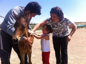 Doğafen Anaokulu kreş