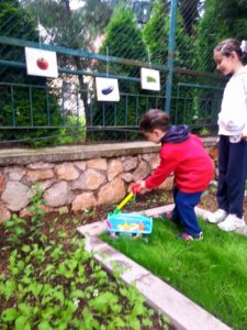 Doğafen Anaokulu kreş