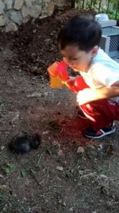 Doğafen Anaokulu kreş