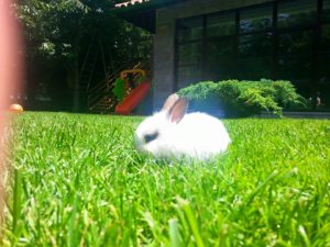 Doğafen Anaokulu kreş