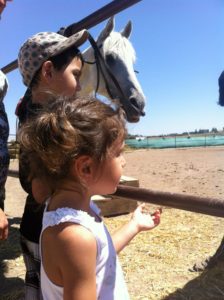 Doğafen Anaokulu kreş