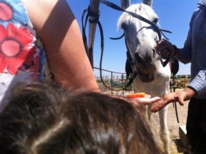 Doğafen Anaokulu kreş