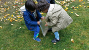 Doğafen Anaokulu ve Kreş Bahçelievler