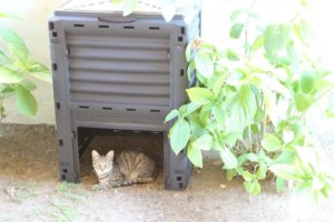 doğafen Anaokulu bahçe