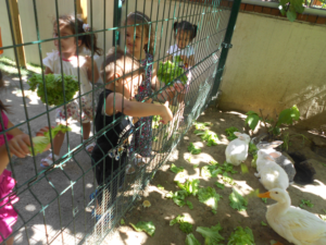 Doğafen Anaokulu ve Kreş Bahçelievler ve İncek