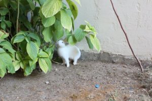 Doğafen Anaokulu ve Kreş Bahçelievler ve İncek