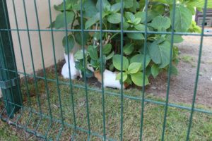 Doğafen Anaokulu ve Kreş Bahçelievler ve İncek