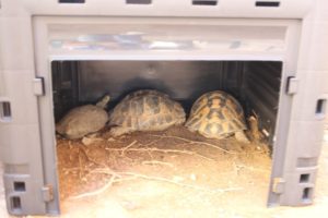 Doğafen Anaokulu ve Kreş Bahçelievler ve İncek