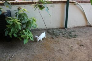 Doğafen Anaokulu ve Kreş Bahçelievler ve İncek