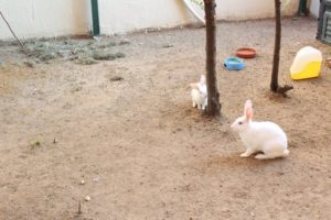 Doğafen Anaokulu ve Kreş Bahçelievler ve İncek