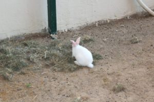 Doğafen Anaokulu ve Kreş Bahçelievler ve İncek