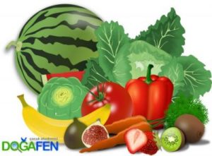 sağlık hizmetleri ve beslenme